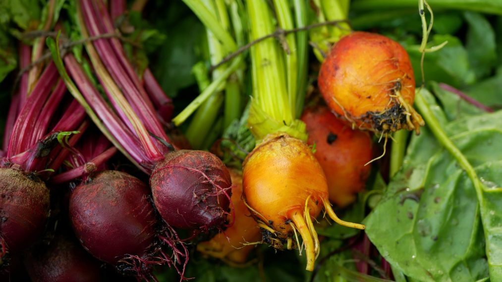 Benefits Of Beetroots By The Best Dieticians Of Qua