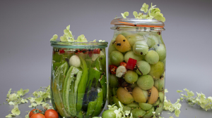 Best Probiotics for Weight Loss