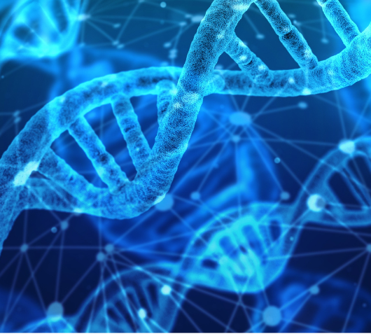 genetics